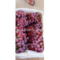 mejores uvas globales rojas xinjiang